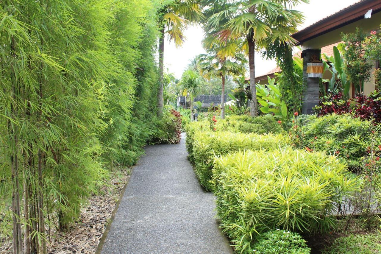 Darra Ria Villa Ubud Екстер'єр фото