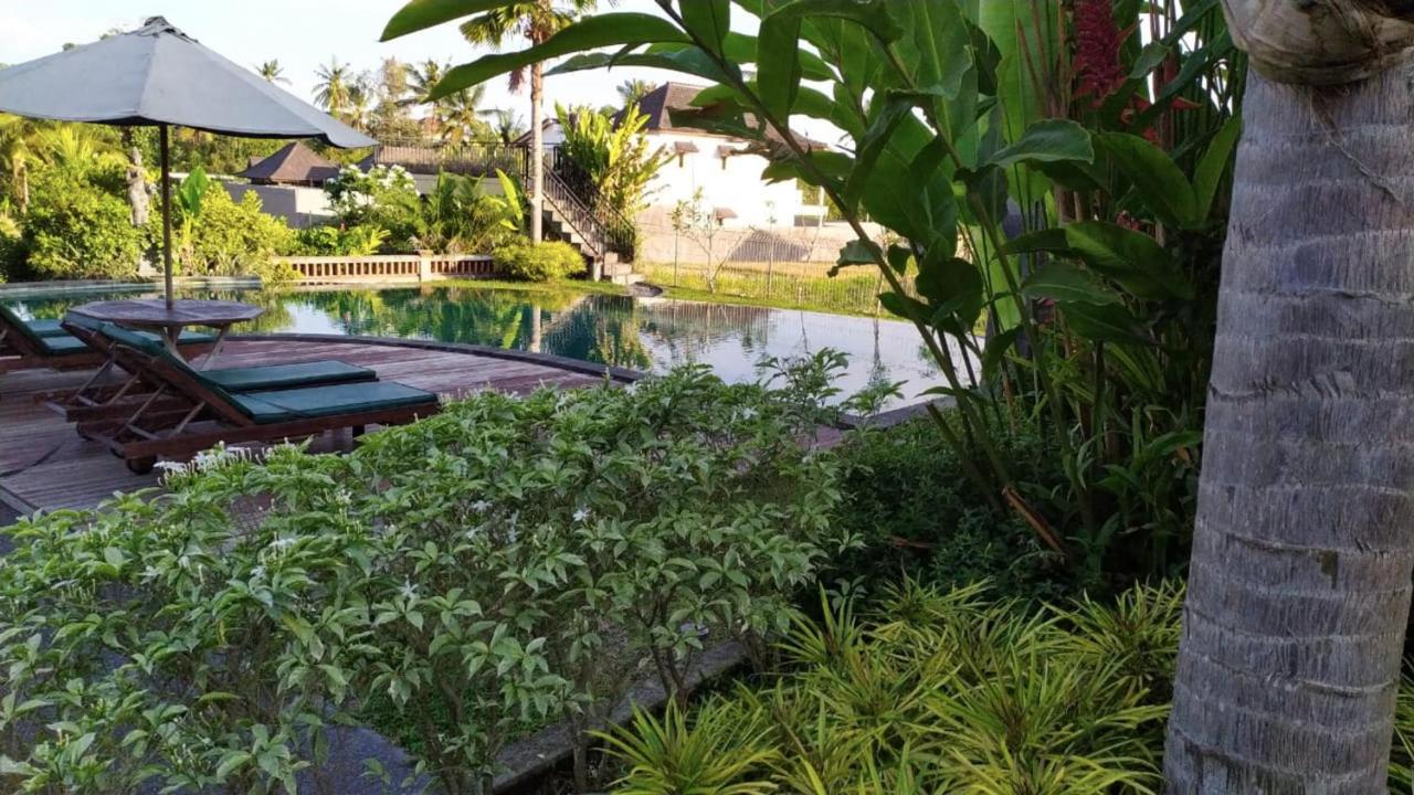 Darra Ria Villa Ubud Екстер'єр фото